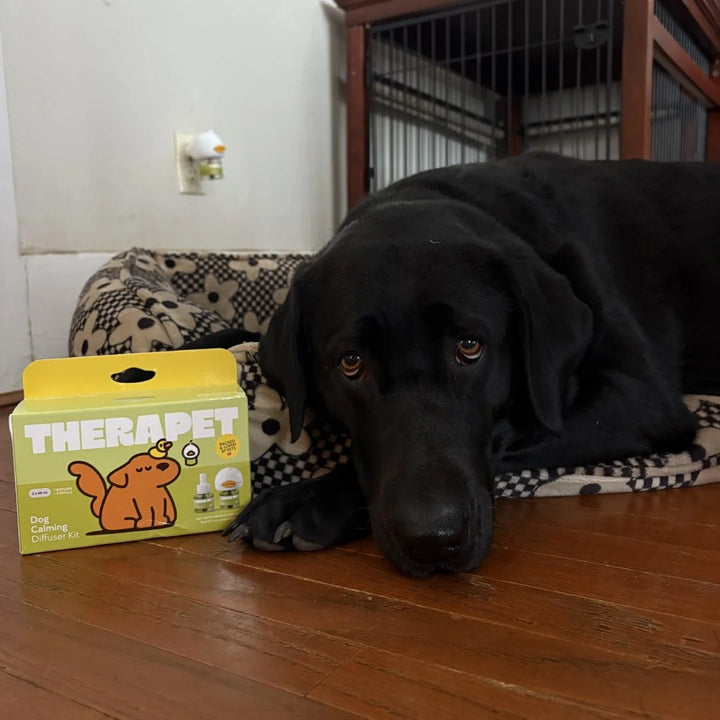 Review by Ashley