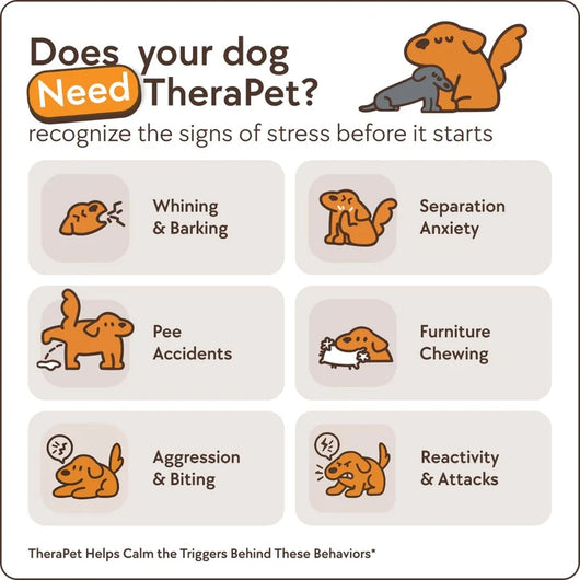 Dog Calming Diffuser Kit
