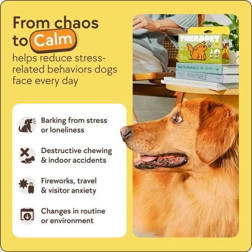 Dog Calming Diffuser Kit