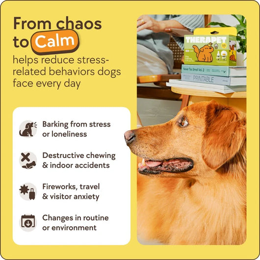 Dog Calming Diffuser Kit